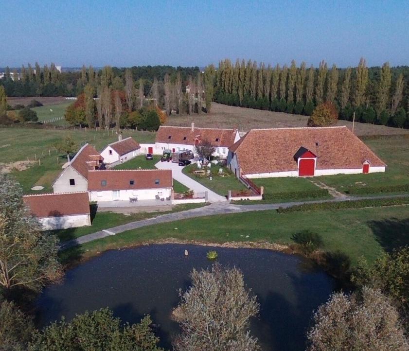 La Maison Des Biquettes Romorantin-Lanthenay Kültér fotó